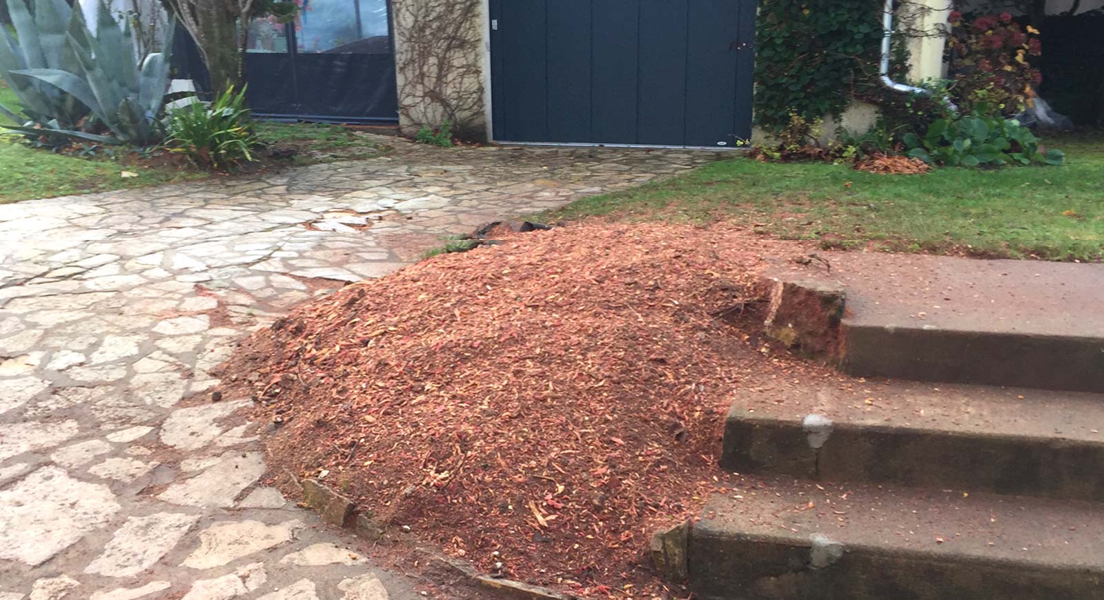 Souche après essouchage près d'un escalier près de Royan