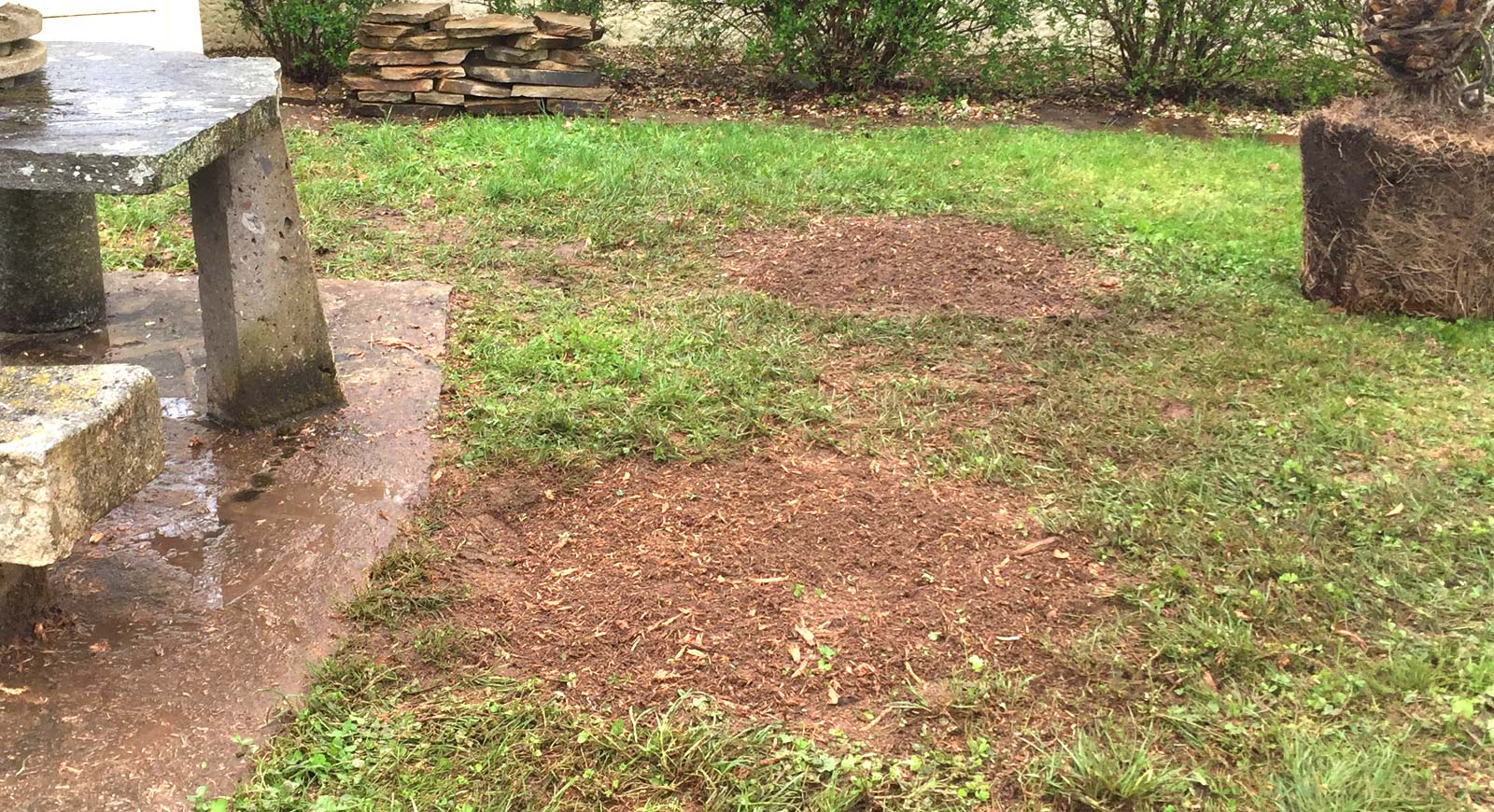 Jardin à Pons après destruction de souche