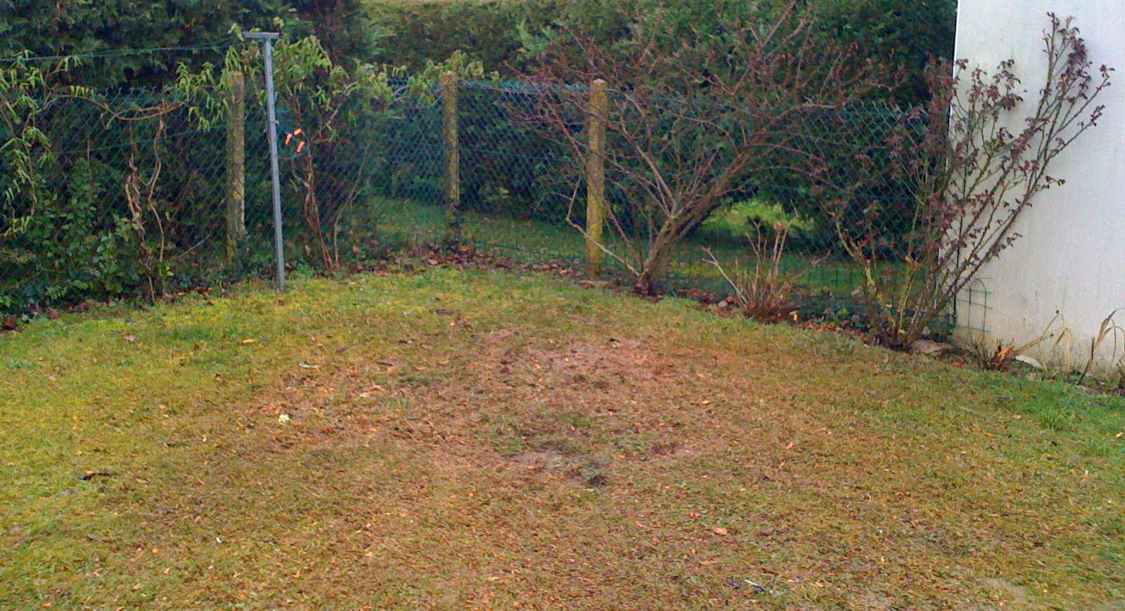 Jardin après destruction de souche à La Rochelle