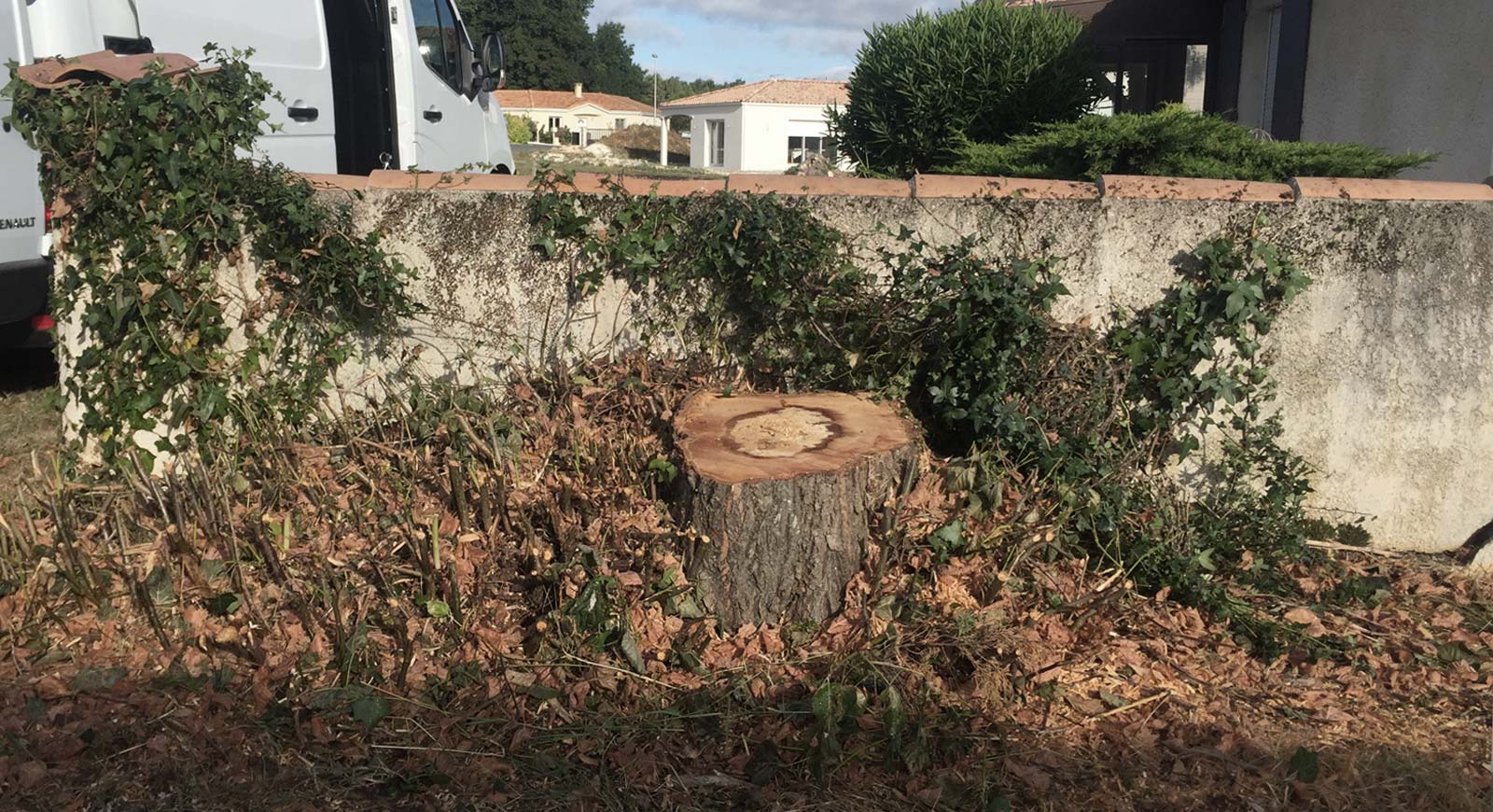 Essouchement devant un mur à Royan