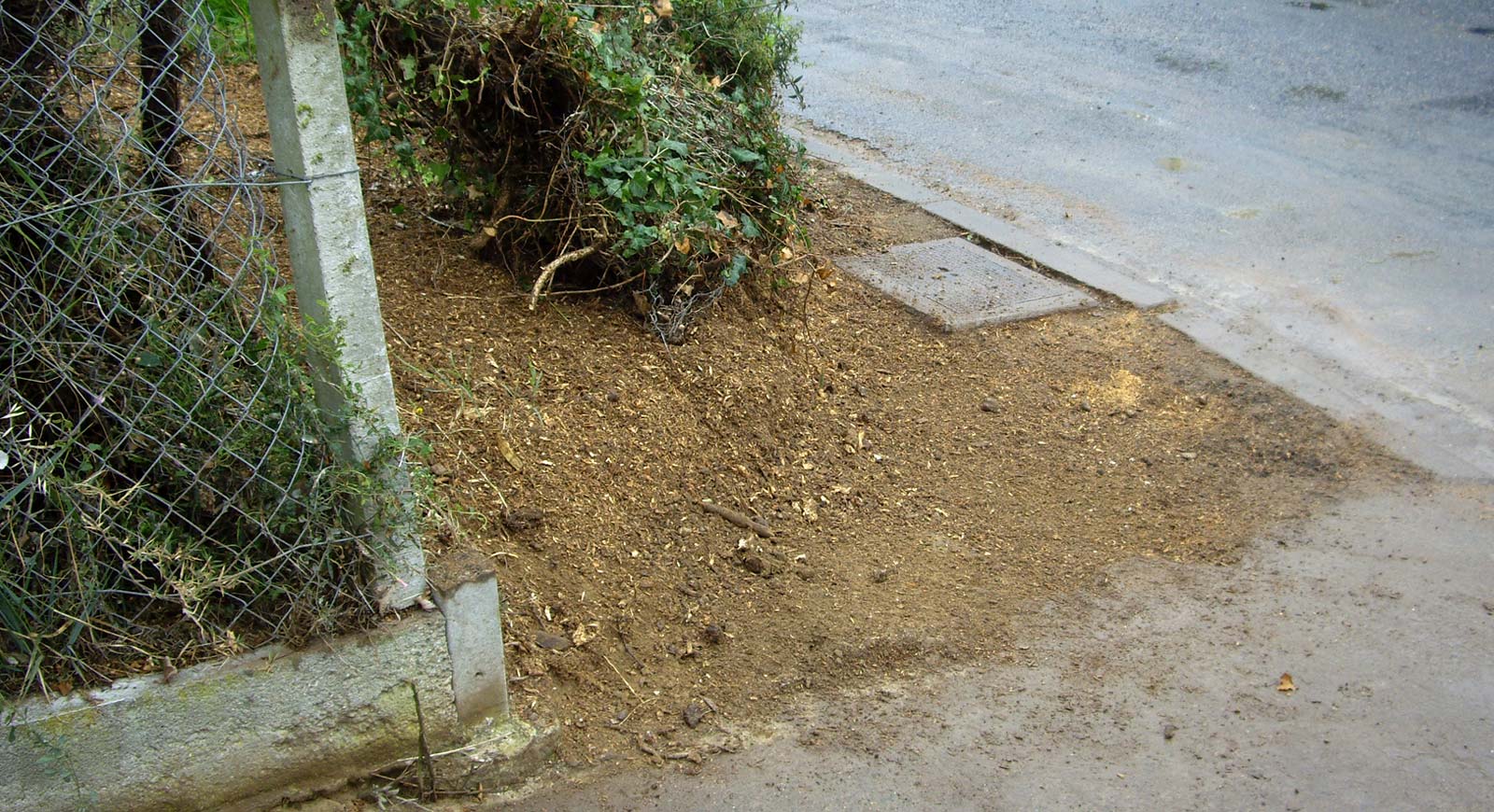 Souche d'arbre évacuée sur une allée à Cognac