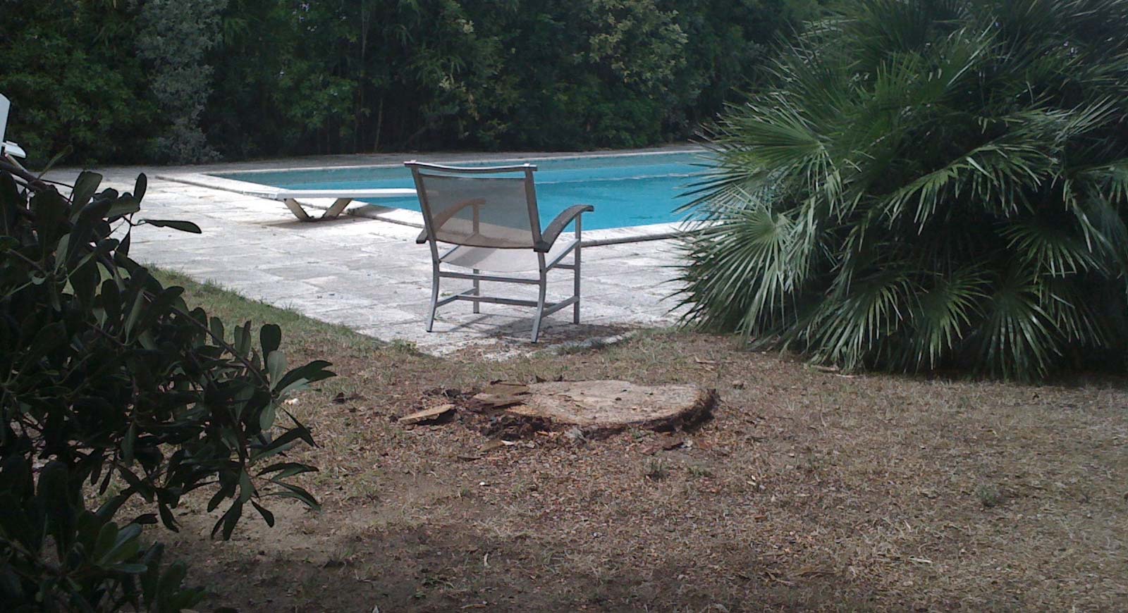 Jardin avec piscine avec soucher à évacuer à Rochefort