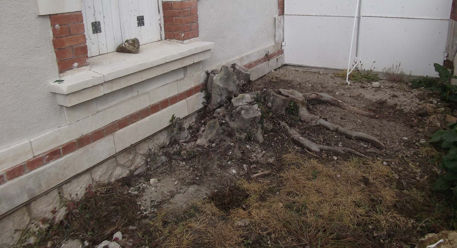 Mur et fenêtre de jardin avant rognage de souche à Saintes